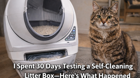 Self-Cleaning Litter Box: Worth It? Honest Review After 30 Days