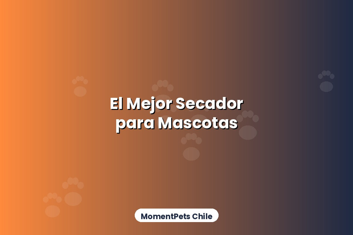 Cómo Elegir el Mejor Secador para Mascotas en 2026