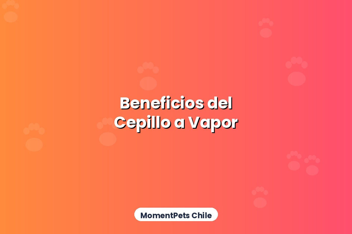 Beneficios del Cepillo Masajeador con Vapor para tu Mascota