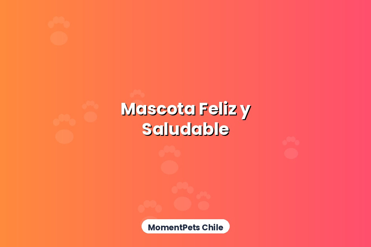 Consejos para Mantener una Mascota Feliz y Saludable