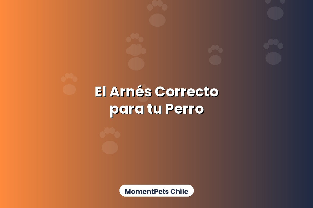 Cómo Elegir el Arnés Correcto para tu Perro