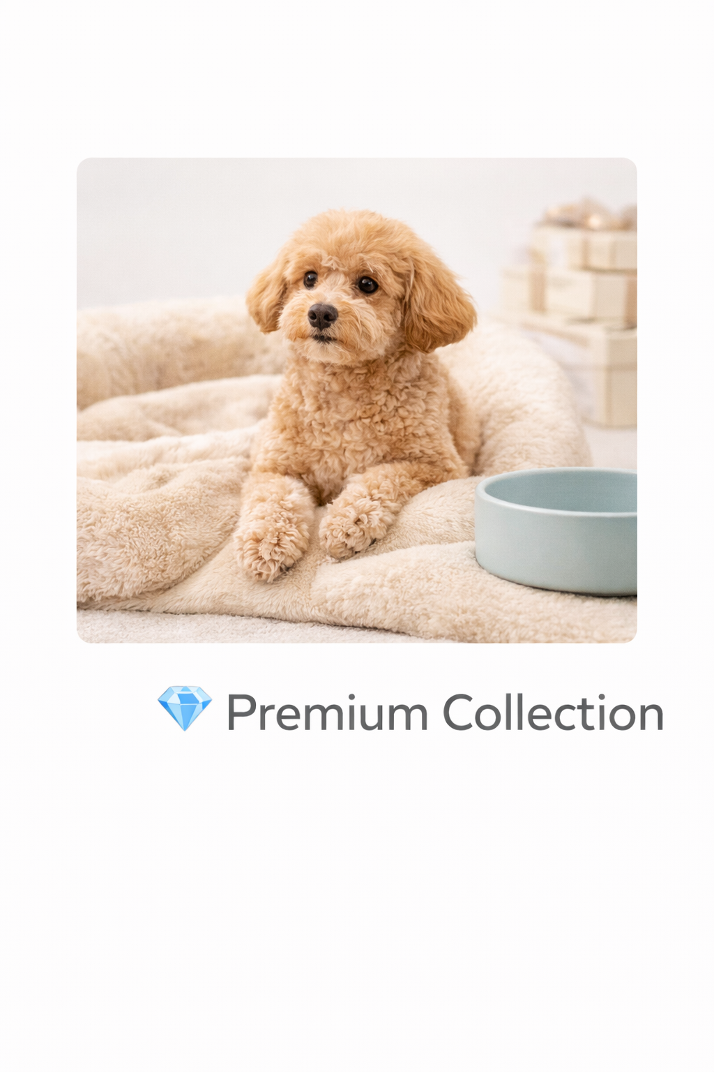 Premium Collection - Luxury Pet Products