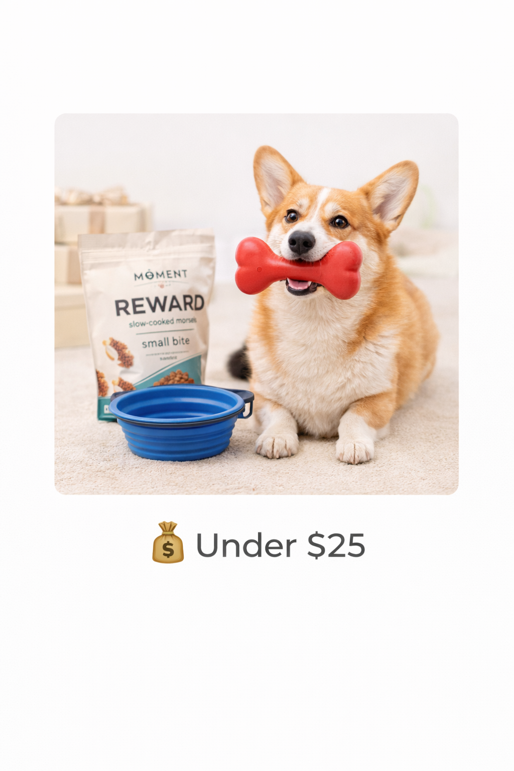 Under $25 - Affordable Pet Essentials