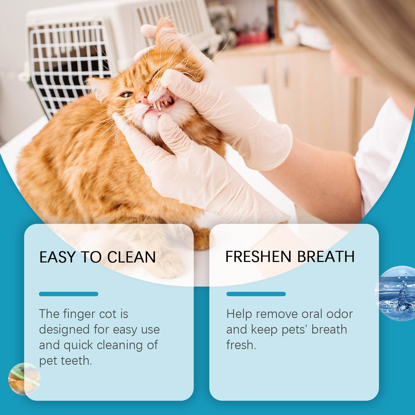 0624B19DAC050D5992219CF5185A27BC - Moment Pets