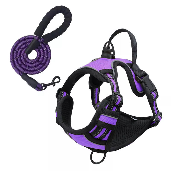 Reflective Adjustable Dog Harness Leash Set