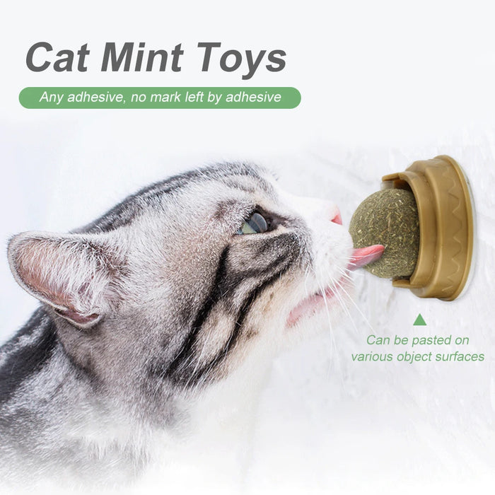 Catnip Cat Wall Stick-on Ball Toy