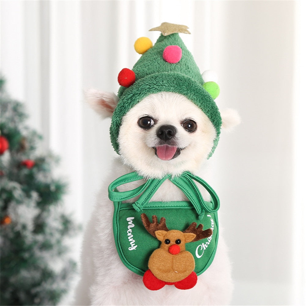 Christmas Bandana & Santa Hat Set