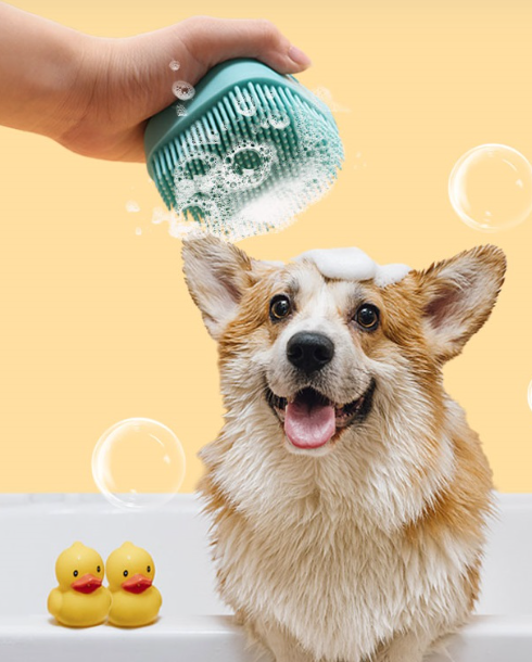 1 pack (3 unidades) Cepillo Masajeador con Dispensador de Shampoo "BañoFeliz"