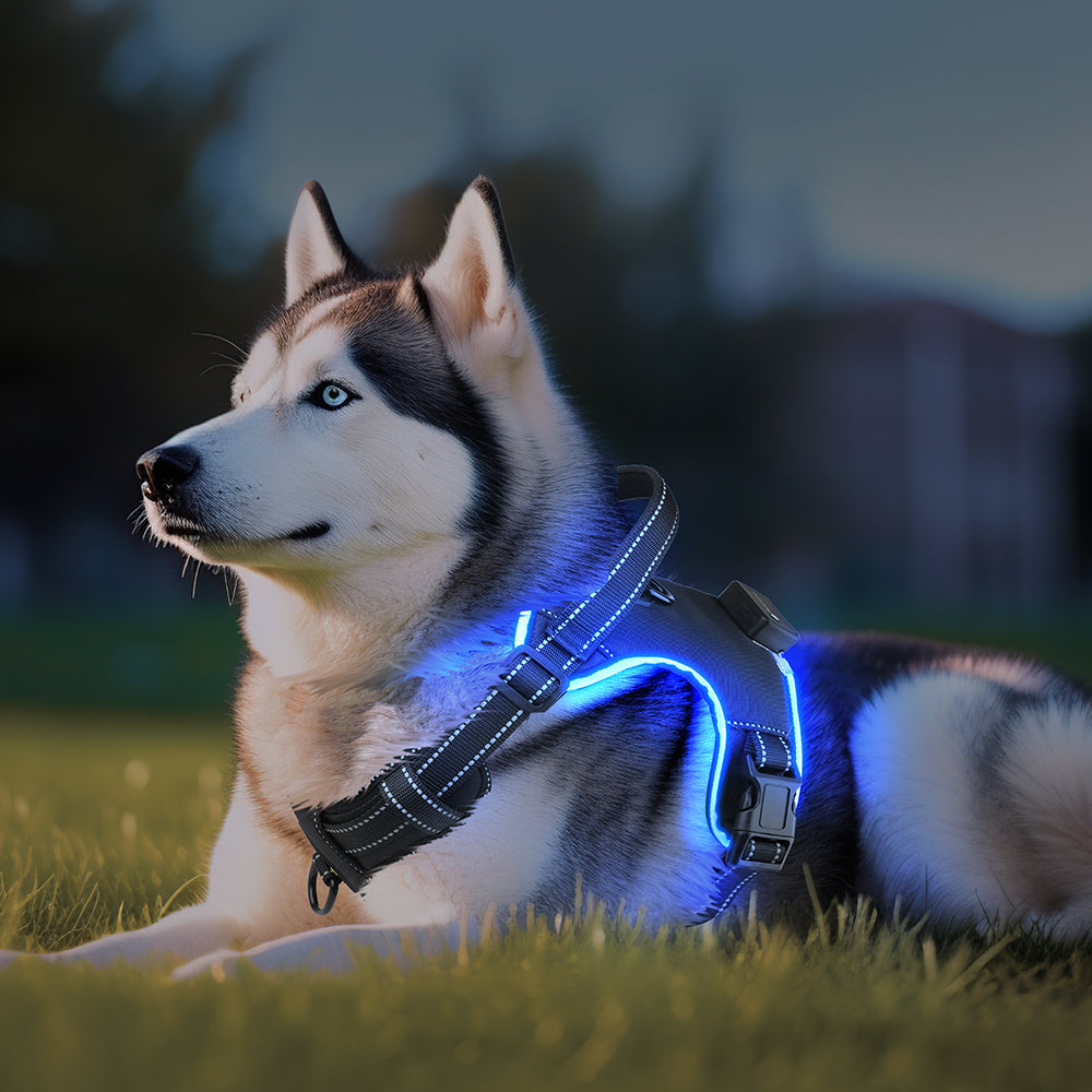 Arnés LED Ergonómico "BrilloSeguro"