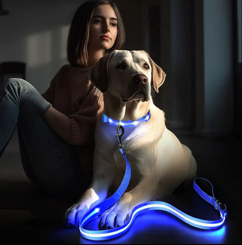 Collar Luminoso LED USB "BrilloNocturno"