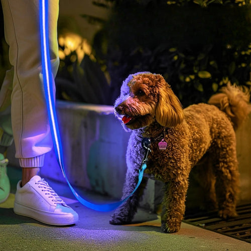 Collar Luminoso LED USB "BrilloNocturno"