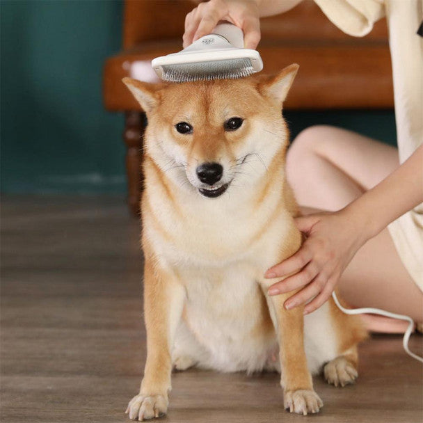 Secador Portátil para Mascotas "SecaRápido"