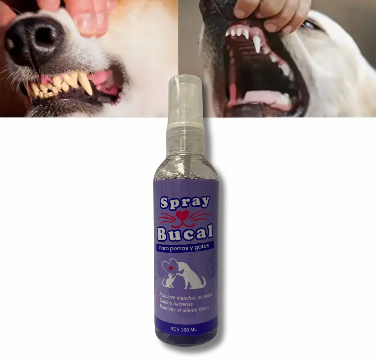 Spray Bucal para la Higiene Dental de tu Mascota