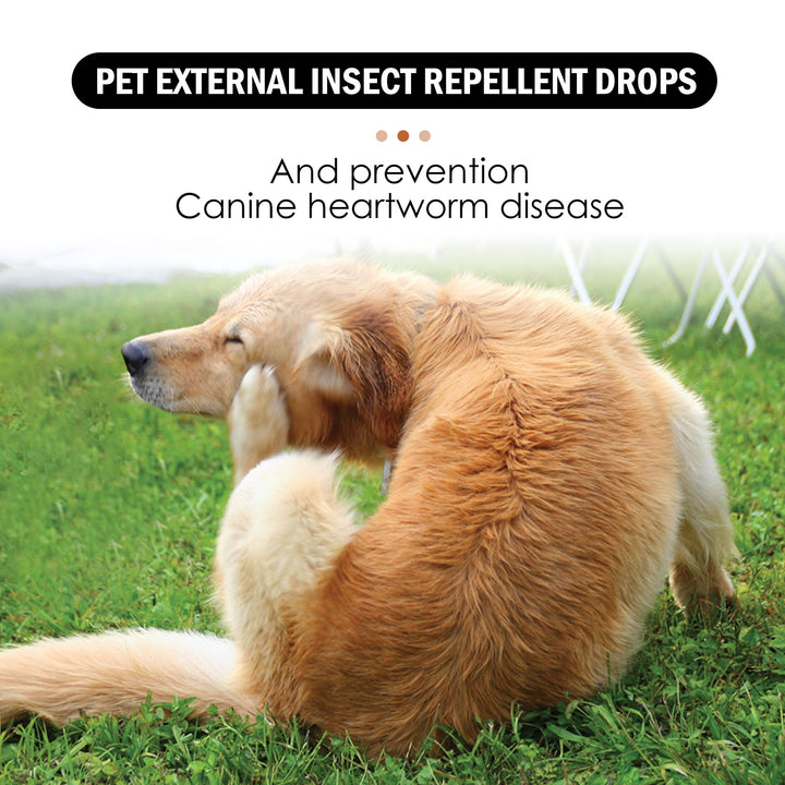 Pet Flea Tick Drops