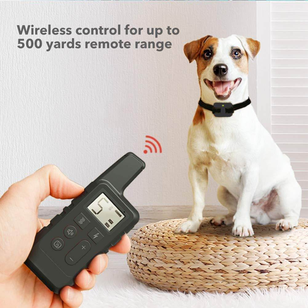 1FADFEB2E520F02919B2365DD817EE89 - Moment Pets