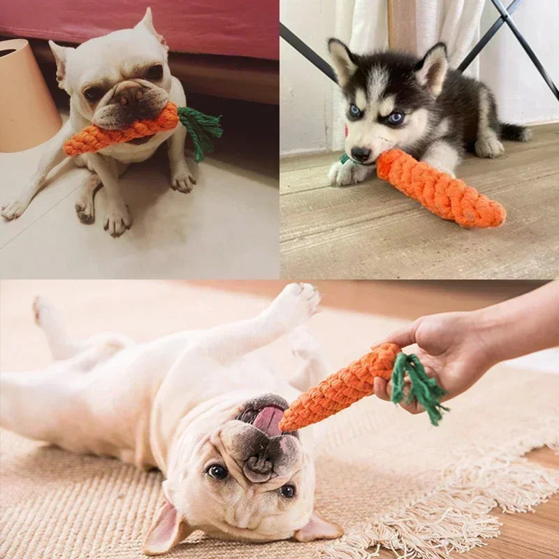 Dog Carrot Bite Rope Chew Toy - Moment Pets