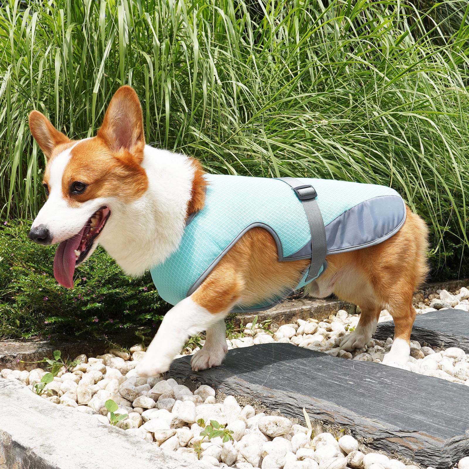 29758E7A25845A753AB2E7EDB6E5F4B0__E4_B8_BB_E5_9B_BE-03 - Moment Pets