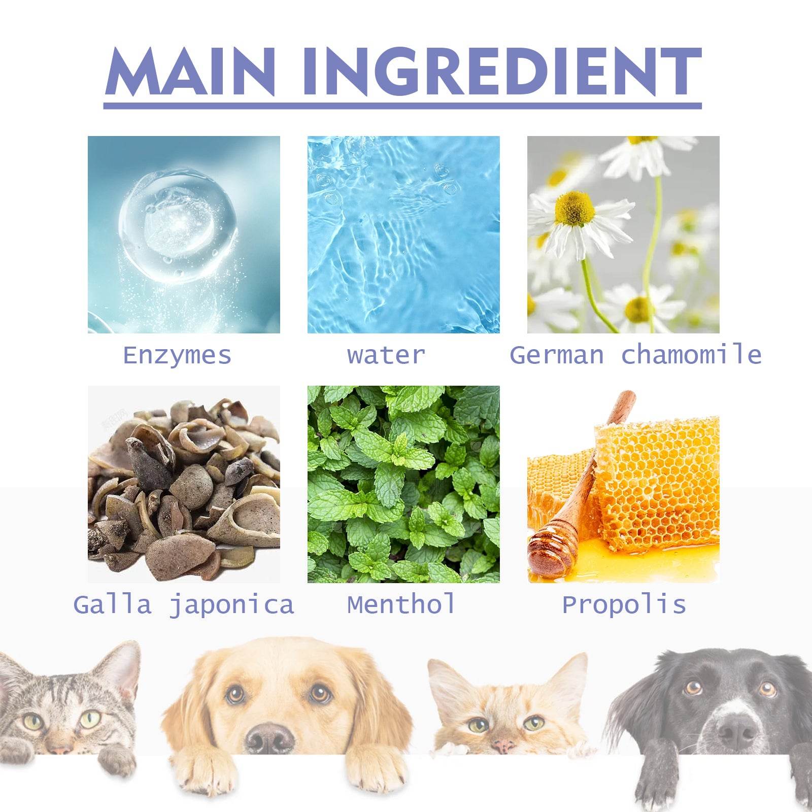 2AC69295ABF2ED8FF1A495B3E55C3FB1 - Moment Pets