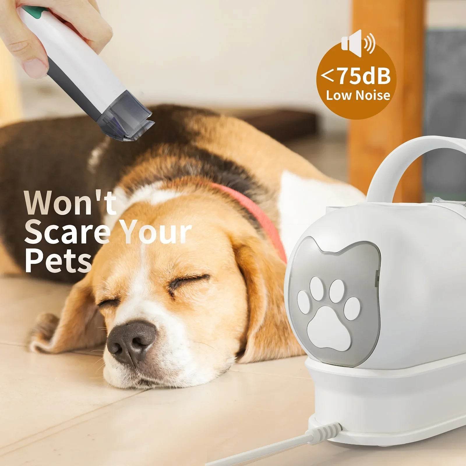 2BF50257CCFE102E3713F43B858291CE - Moment Pets