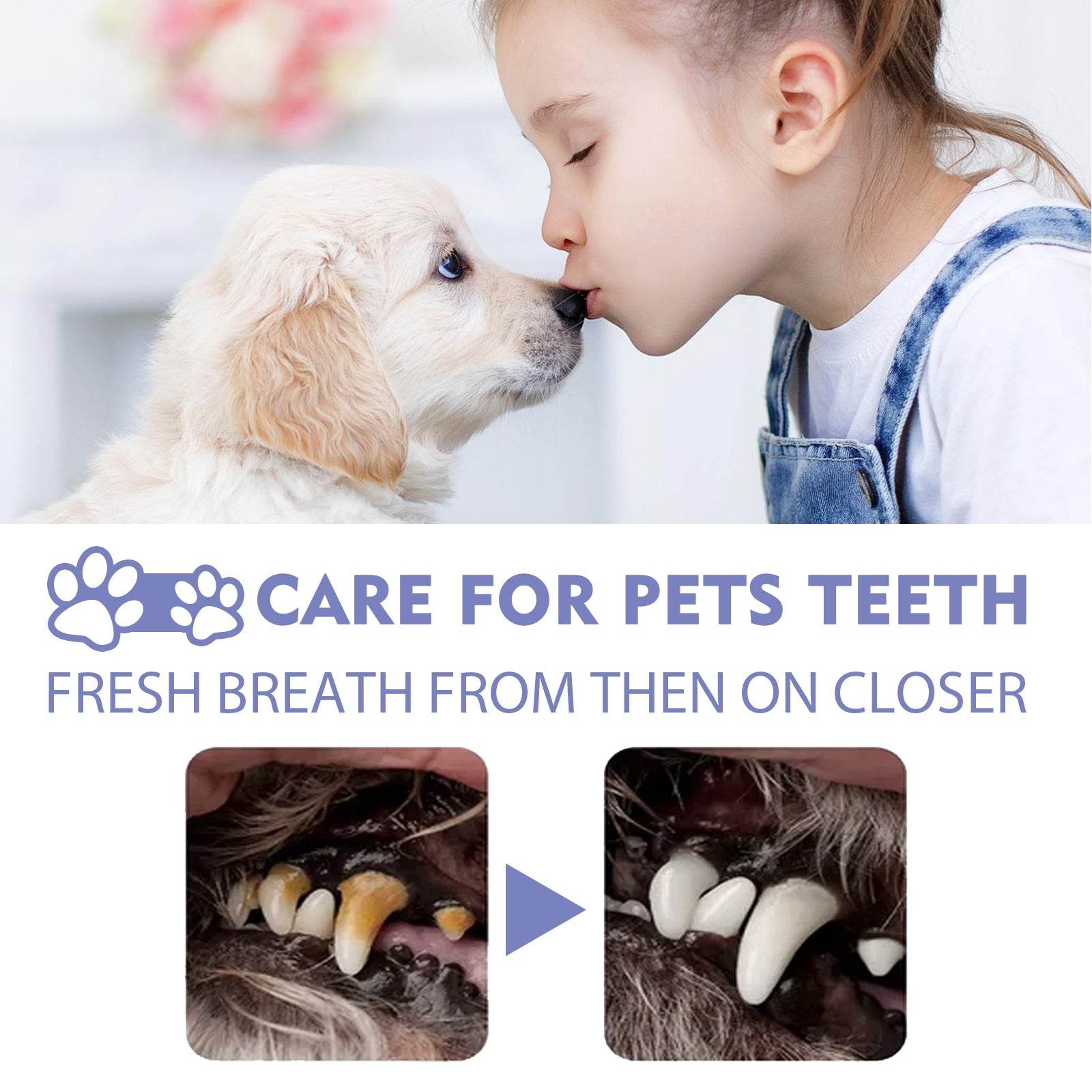 2D0FC23EDE48C61B86799AA96C0C1E40 - Moment Pets