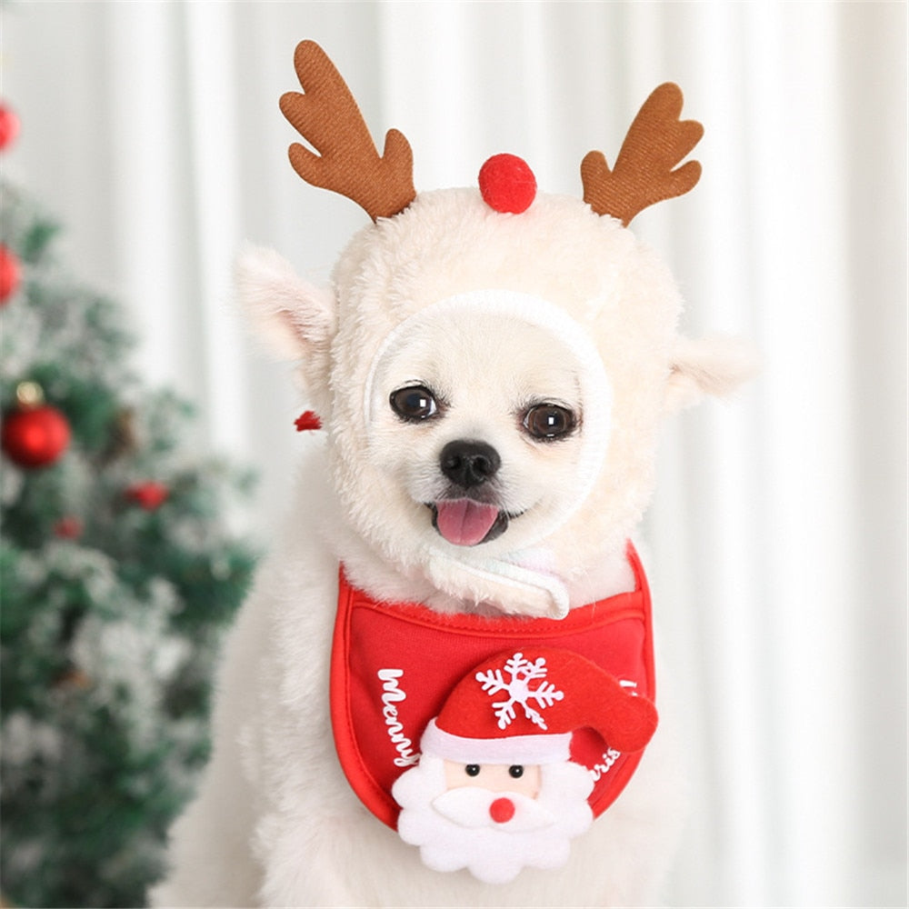 Christmas Bandana & Santa Hat Set