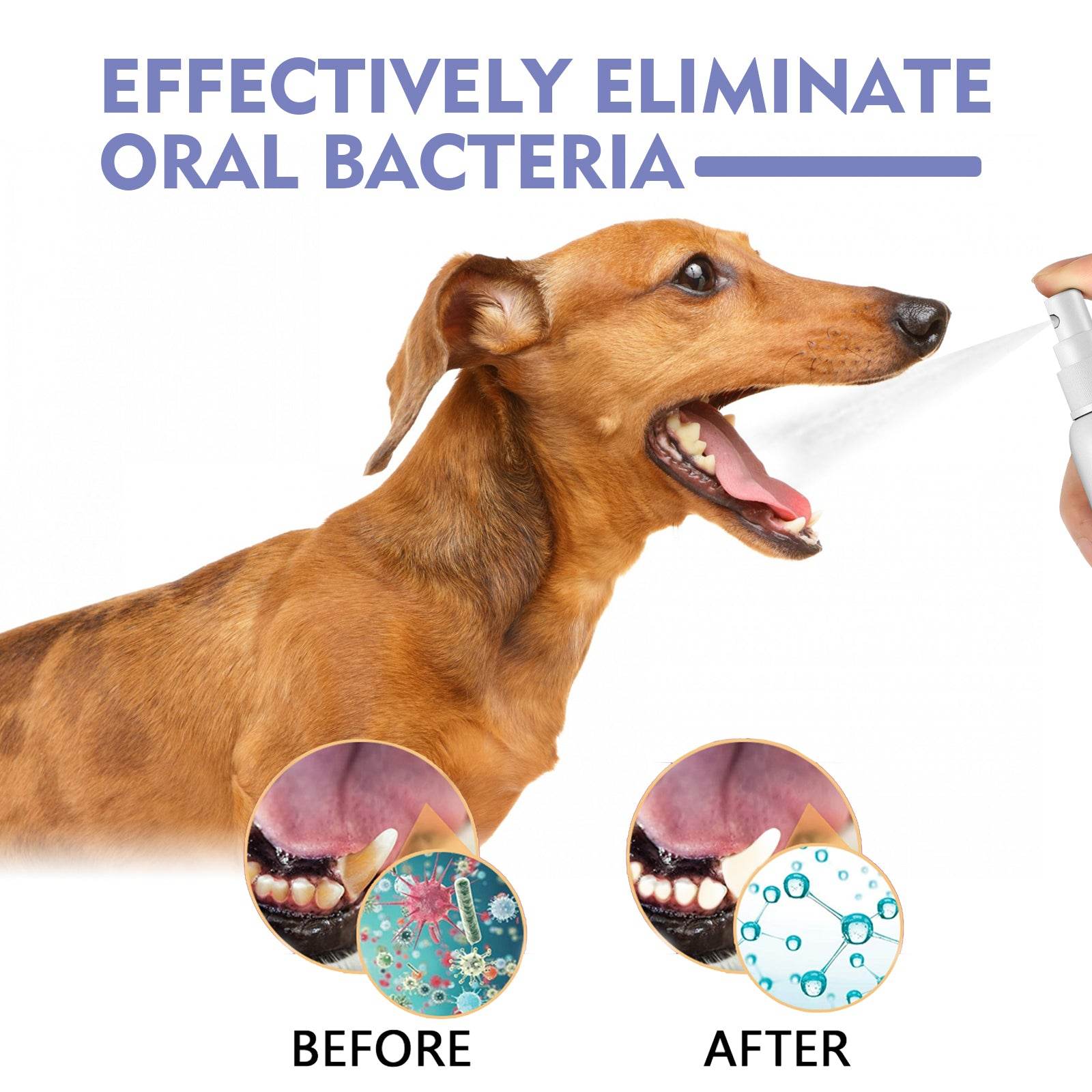 Cats & Dogs Tooth Spray - Moment Pets