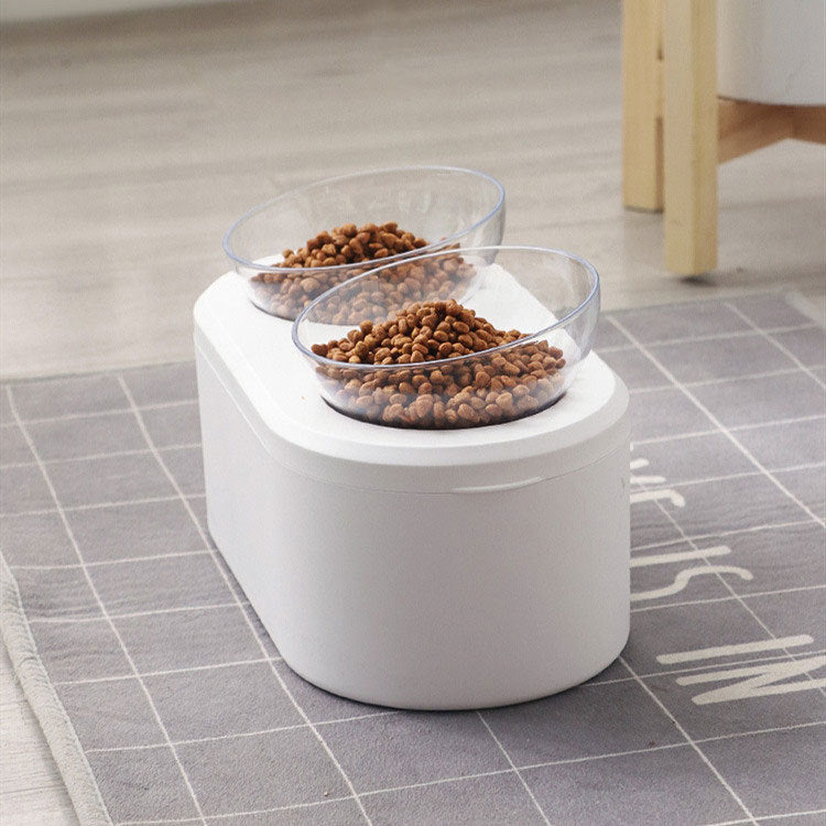 Elevated Double Bowl with Food Storage