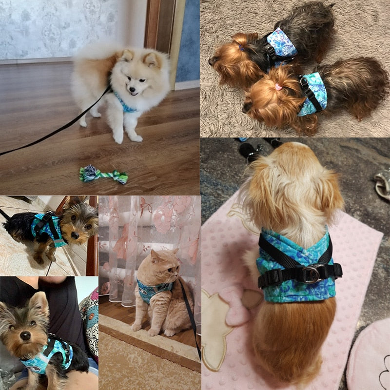 LED Reflective Dog Harness Set