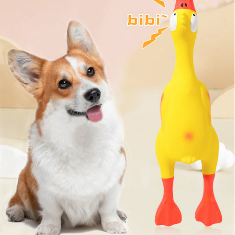 Latex Squeaky Duck Toy