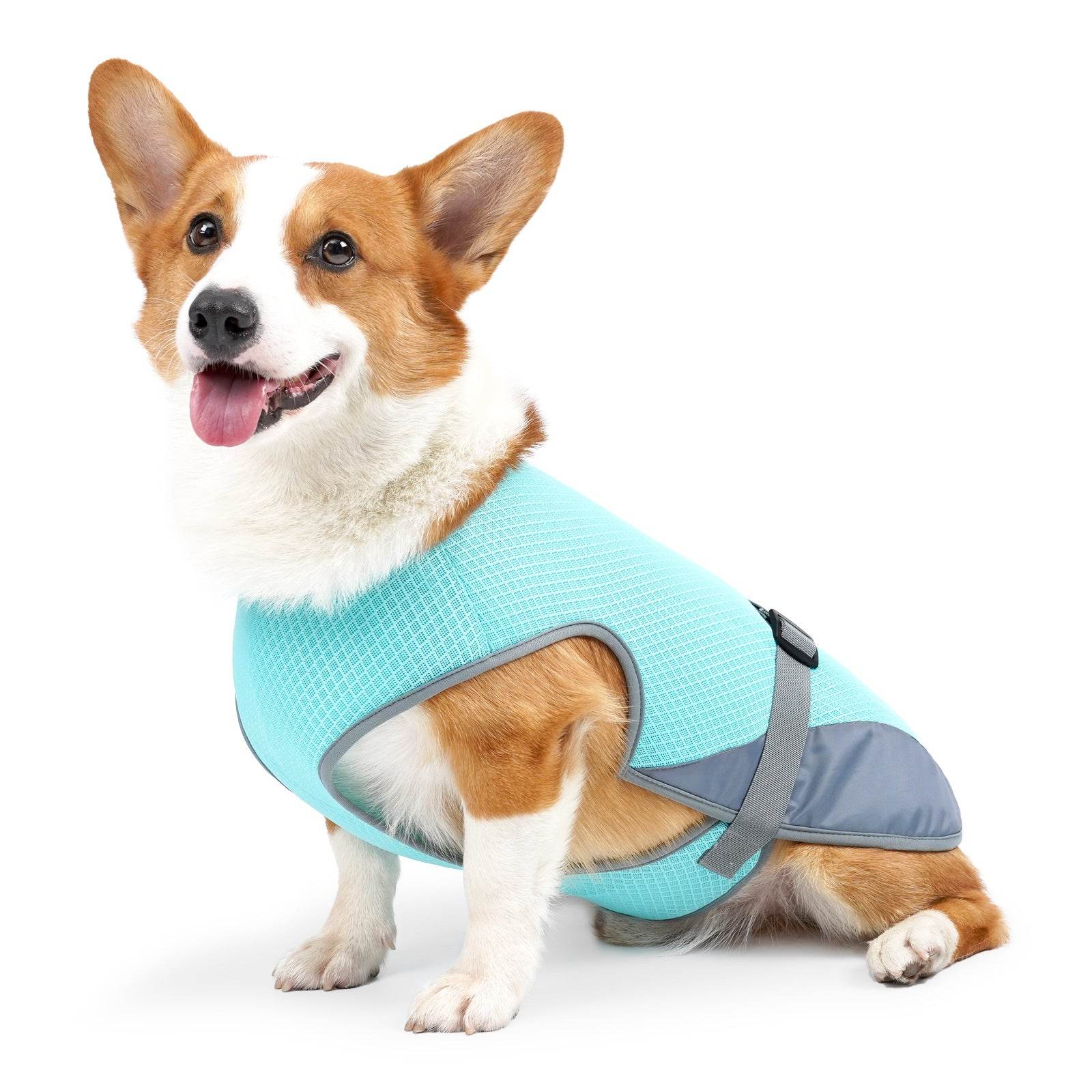 Cooling Vest for Pets - Moment Pets