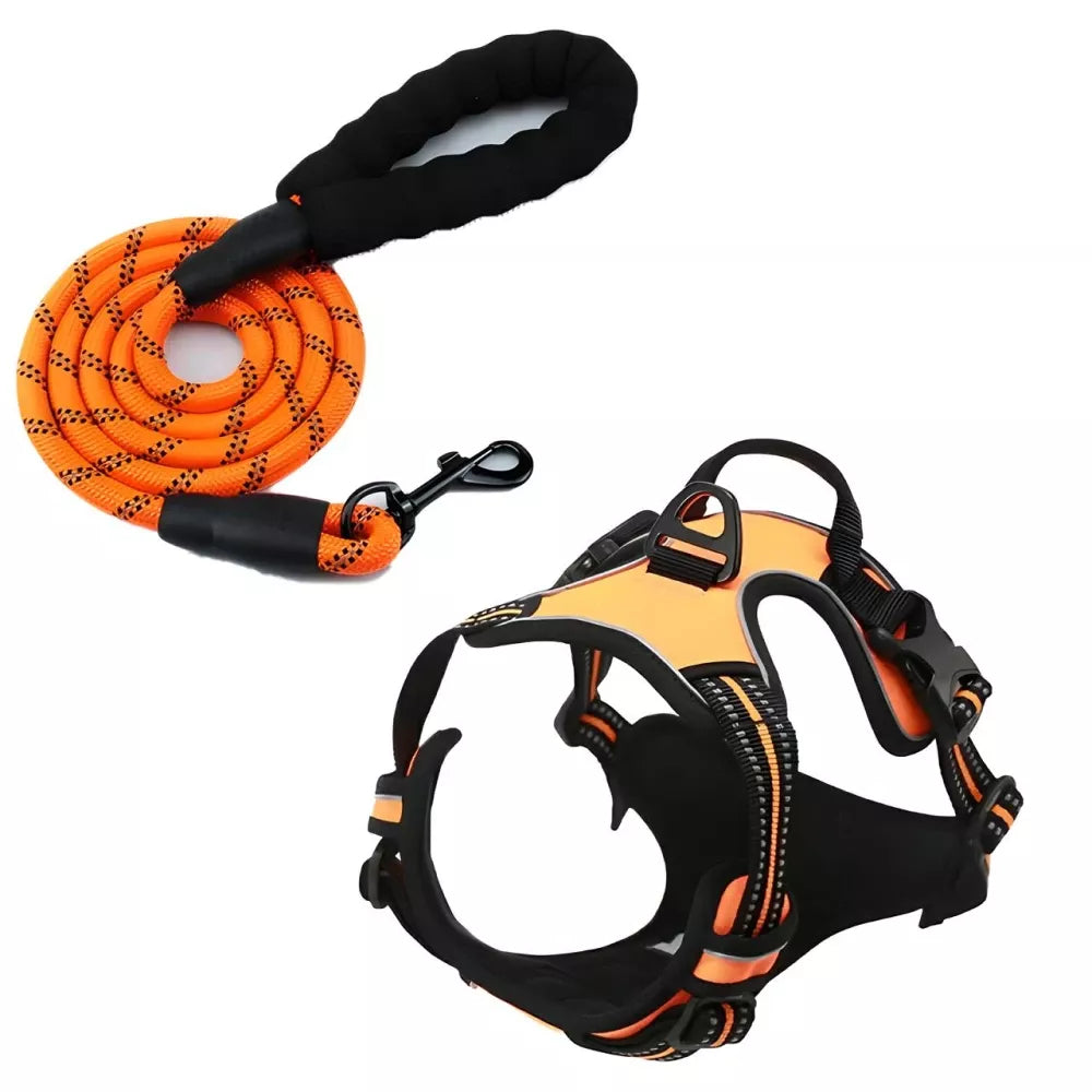 Reflective Adjustable Dog Harness Leash Set