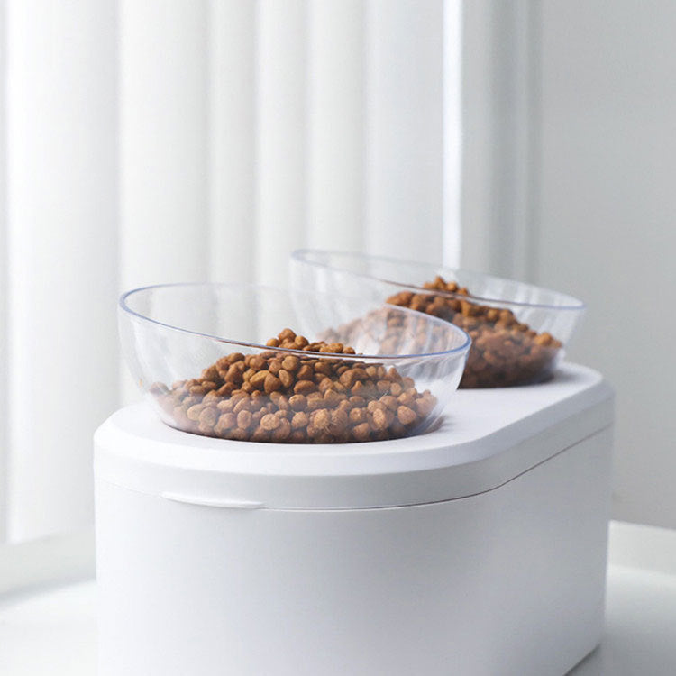 Elevated Double Bowl with Food Storage