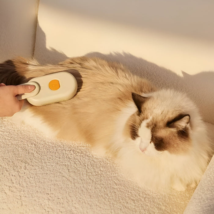 Electric Spray Massage Comb for Cats and Dogs