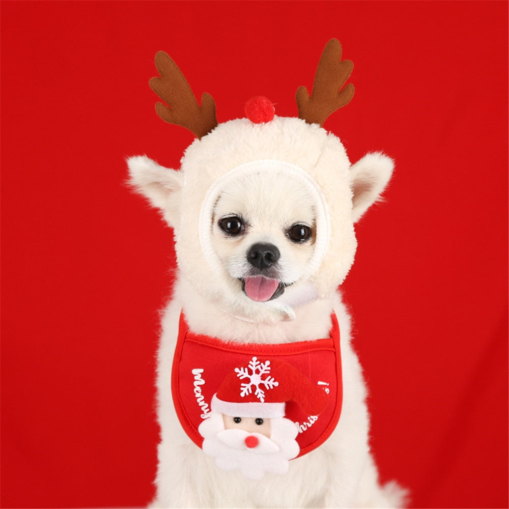 Christmas Bandana & Santa Hat Set