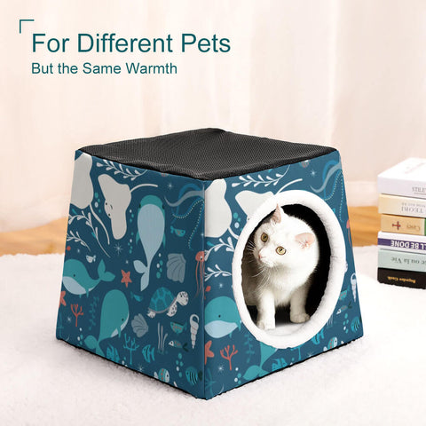 Capsule Pet Carrier Waterloo