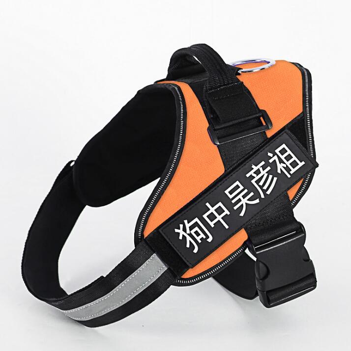 Personalized No-Pull Dog Harness — Reflective, Custom Name