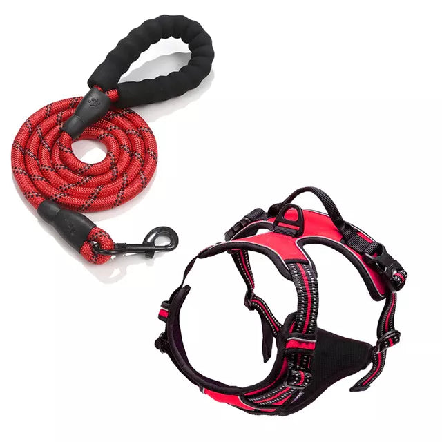 Reflective Adjustable Dog Harness Leash Set