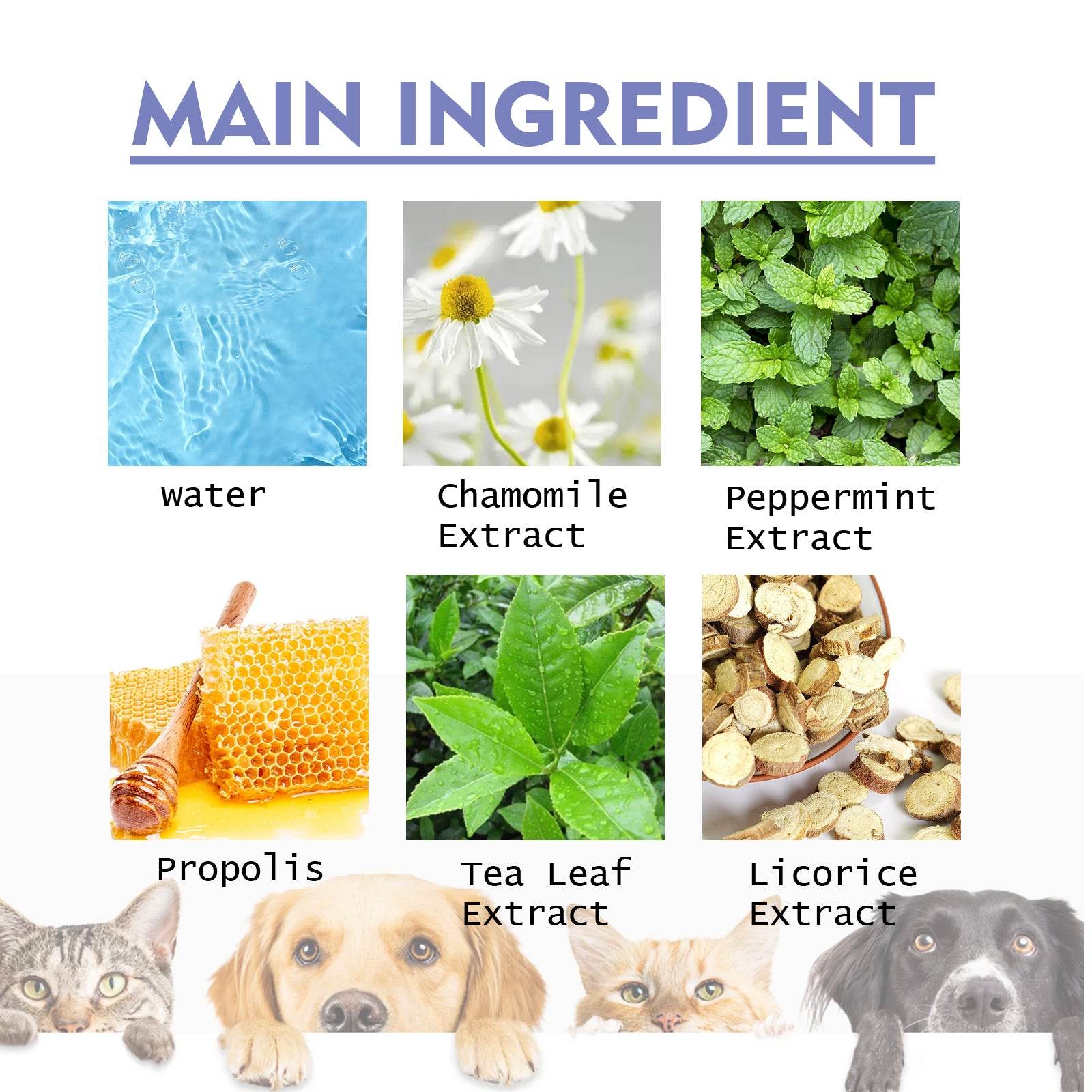 Dog & Cat Breath Spray - Moment Pets