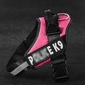 Personalized No-Pull Dog Harness — Reflective, Custom Name