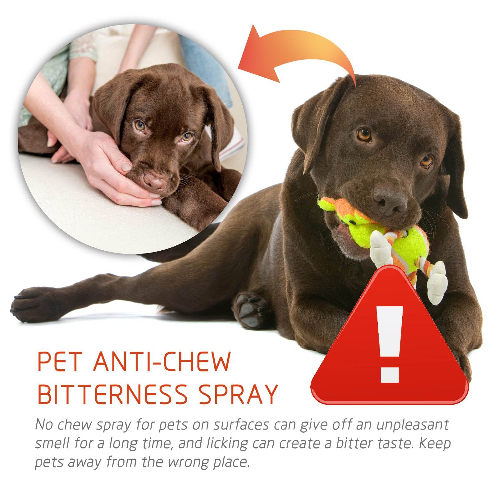 Pet Anti-Chew Spray - Moment Pets