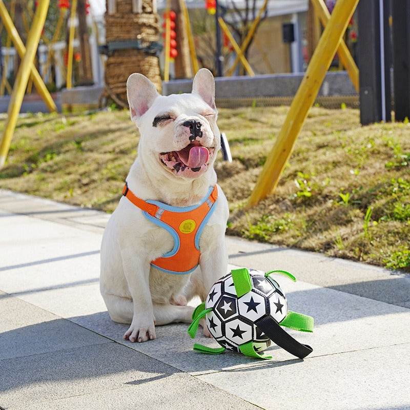 Interactive Dog Football Toy - Moment Pets