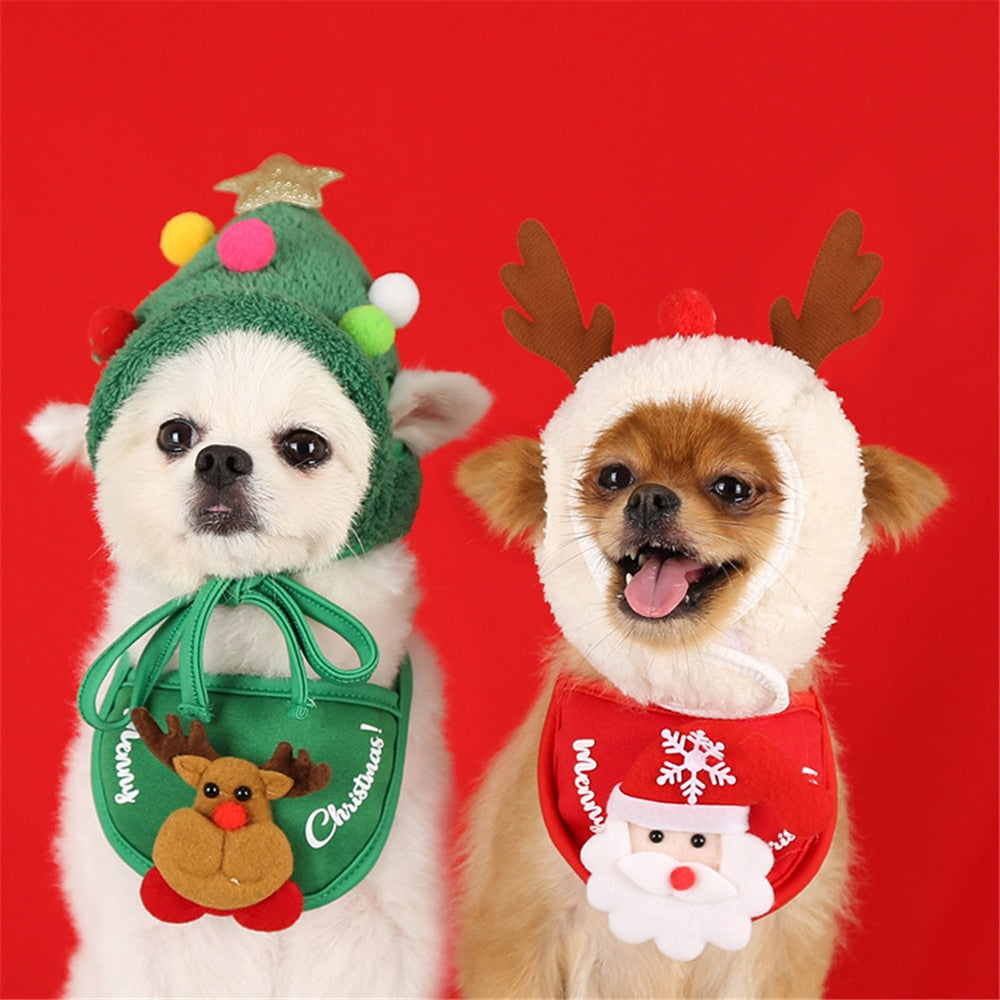 Christmas Bandana & Santa Hat Set