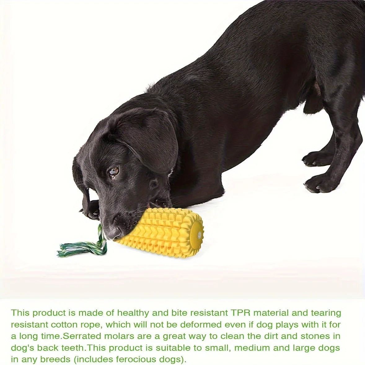 Interactive Corn Toothbrush Dog Toy
