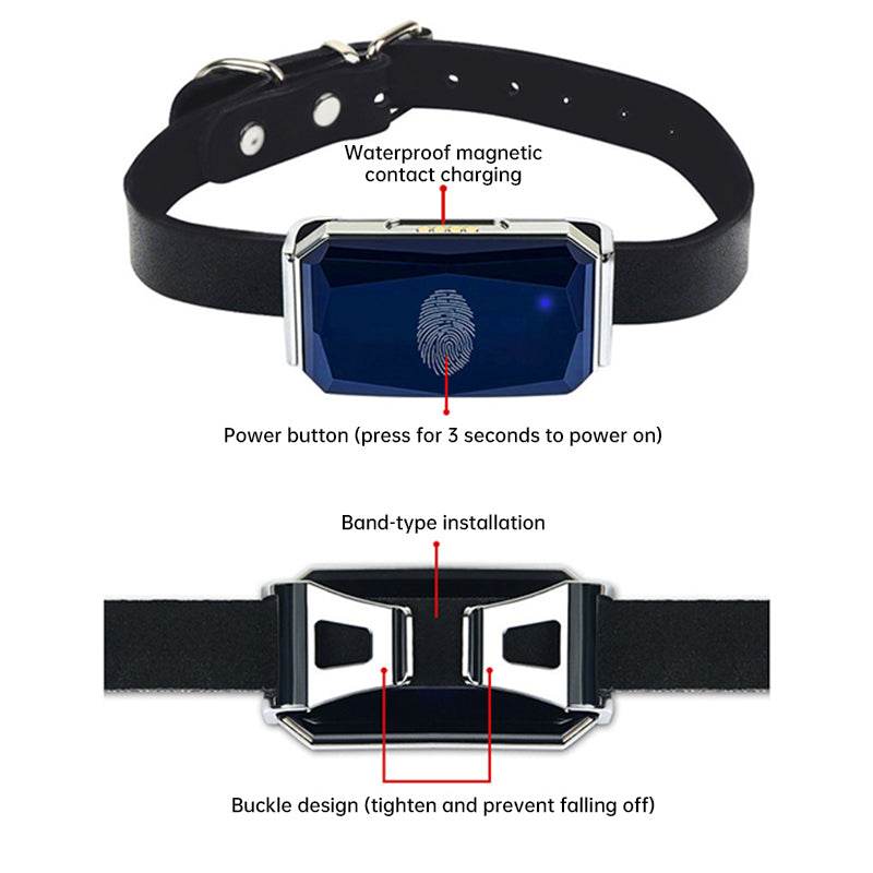 Smart GPS Pet Tracker - Moment Pets