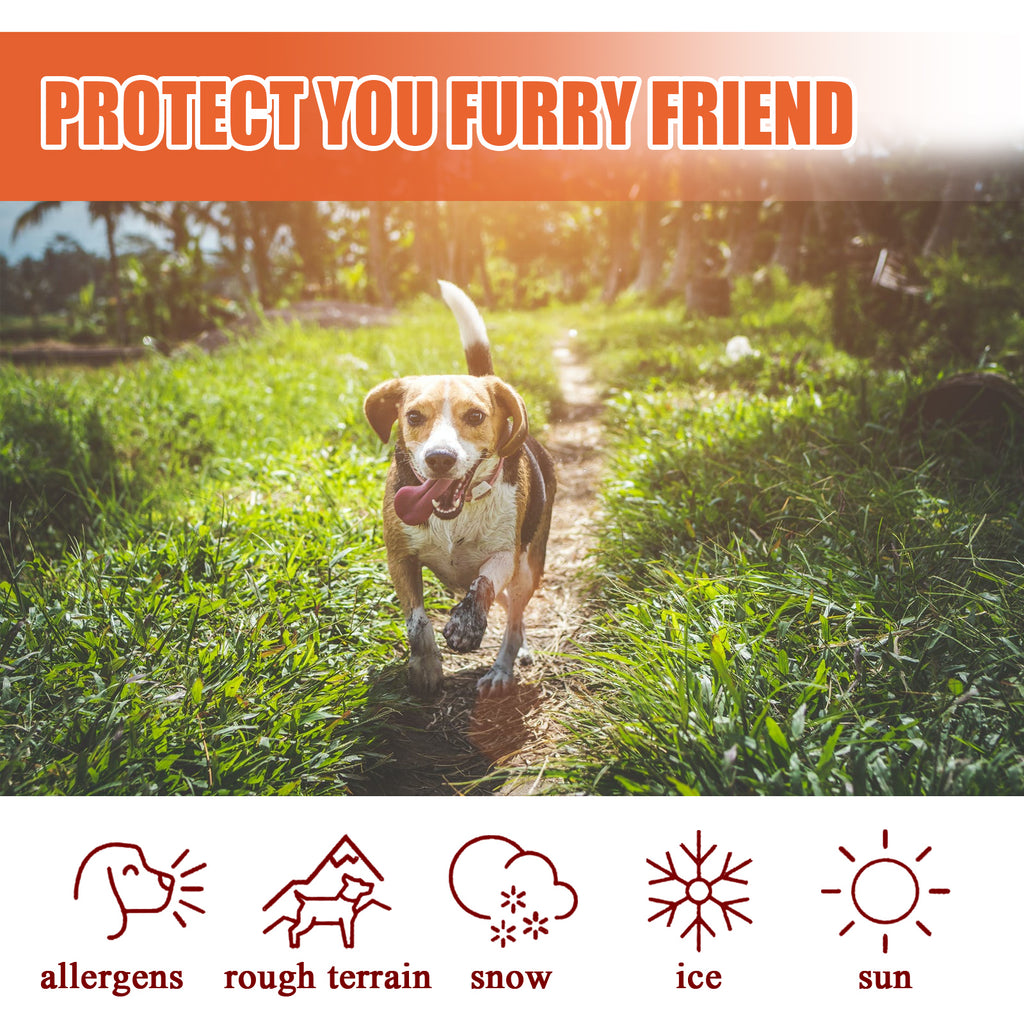 Paw Protection Balm — Winter Care