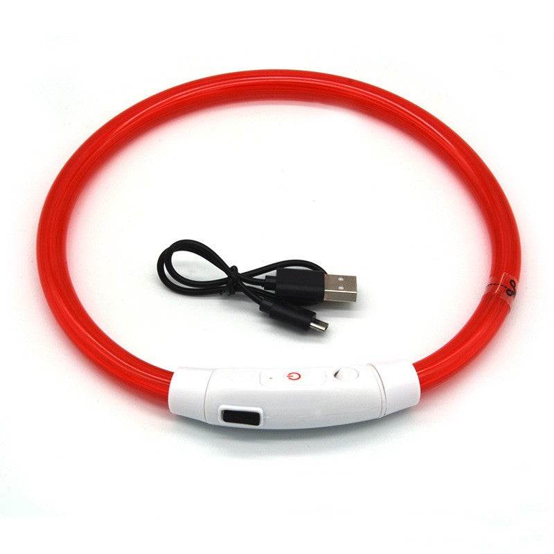 USB LED Dog Collar - Moment Pets