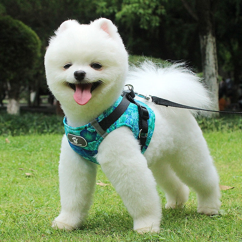 LED Reflective Dog Harness Set