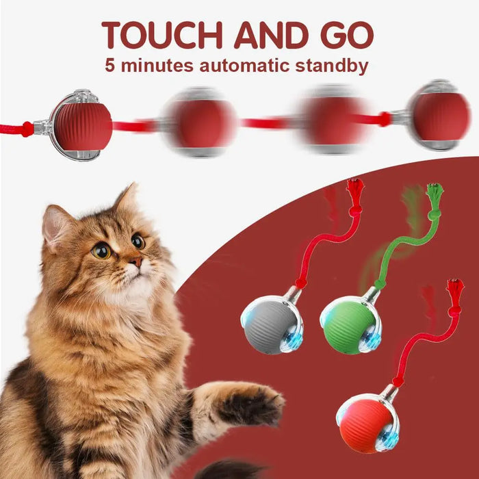 Automatic Rolling Ball Cat Toy