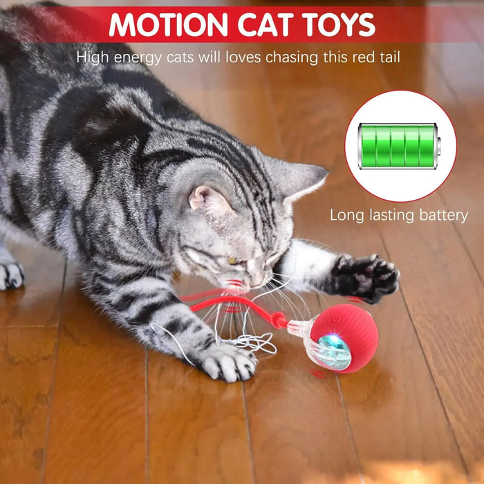 Automatic Rolling Ball Cat Toy