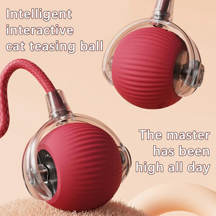 Automatic Rolling Ball Cat Toy